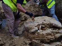 espana/madrid/20260727/descubren-tortuga-15-millones-anos-durante-construccion-nuevo-aulario-cifse_444157