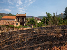 espana/castilla-la-mancha/20260727/devastadora-huella-incendio-mierla-pueblos-agua-averias-animales-muertos_444168