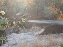 espana/la-voz-de-cordoba/provincia/20260728/efectivos-infoca-luchan-contra-incendio-forestal-termino-adamuz_444505