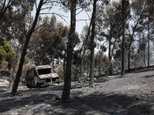 sociedad/sociedad-medio-ambiente/20260729/motivo-raices-arboles-pueden-arder-durante-dias-sepamos-causar-rebrotes_444602