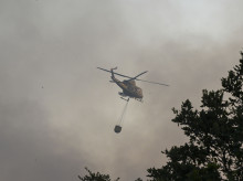 sociedad/sociedad-medio-ambiente/20260729/ultima-hora-incendios-buenas-noticias-madrid-avila-levantan-confinamiento-13-municipios_444683