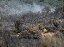 espana/castilla-y-leon/20260729/fuego-utrera-leon-podria-estar-provocado-persona-intento-prender-dos-veces-dias-antes_444948