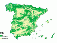 sociedad/sociedad-medio-ambiente/20260730/abandono-bosques-regiones-grandes-arboles-inflamables_444969