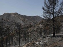 espana/comunidad-valenciana/20260730/incendio-forestal-vall-duixo-sigue-control-esta-perimetrado-quemar-9300-hectareas_445119