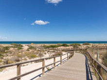 espana/comunidad-valenciana/20260803/playa-salvaje-alicante-donde-dunas-llegan-hasta-mar-peces-nadan-junto-orilla_445450
