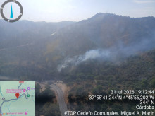 espana/la-voz-de-cordoba/actualidad/20260731/alerta-nuevo-cerro-muriano-otro-incendio-forestal_445845