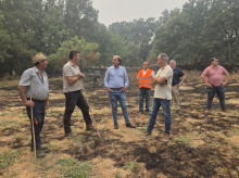 espana/castilla-y-leon/20260801/castilla-leon-espera-tener-absolutamente-controlado-incendio-burgohondo-proximas-horas-dias_445974