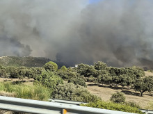 sociedad/sociedad-medio-ambiente/20260801/camion-ardiendo-provoca-incendio-forestal-obliga-desalojar-dos-localidades-extremenas_446000