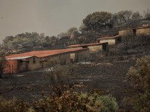 espana/castilla-y-leon/20260802/incendio-fermoselle-zamora-evoluciona-favorablemente-tiene-estabilizado-gran-parte-perimetro_446086