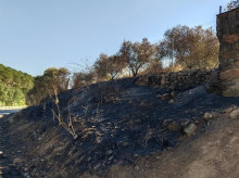 espana/la-voz-de-cordoba/provincia/20260803/investigan-hombre-como-presunto-autor-ocho-incendios-villaviciosa-cordoba_446201