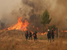sociedad/sociedad-medio-ambiente/20260803/incendio-grecia-sigue-propagandose-hacia-atenas-calcinar-cerca-11000-hectareas_446305