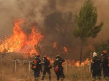 sociedad/sociedad-medio-ambiente/20260803/incendio-grecia-sigue-propagandose-hacia-atenas-calcinar-cerca-11000-hectareas_446305