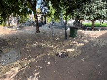 espana/la-voz-de-cordoba/actualidad/20260803/facua-cordoba-denuncia-abandono-cementerio-san-rafael-reclama-actuacion-urgente_446457