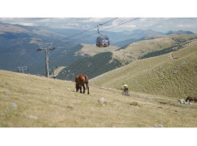 espana/cataluna/20260804/aliados-estaciones-esqui-pirineo-cuidar-pistas-verano-ovejas-cabras-caballos_446465