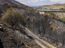 espana/castilla-y-leon/20260804/castilla-leon-investiga-reactivaciones-incendio-burgohondo-intencionada_446646