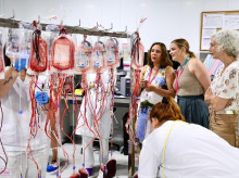 espana/baleares/20260804/prohens-hace-llamamiento-reforzar-reservas-sangre-baleares-necesita-200-bolsas-diarias_446815