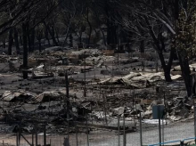 espana/madrid/20260805/madrid-autoriza-retirada-urgente-madera-quemada-lozoyuela-sierra-oeste-evitar-plagas_447130