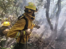 internacional/20260806/incendio-forestal-amenaza-entorno-machu-picchu-obliga-suspender-trafico-ferroviario_447216