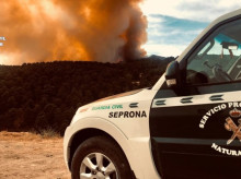 espana/castilla-y-leon/20260806/investigan-hombre-provocar-radial-incendio-berrocal-huebra-salamanca-dejo-tres-heridos-80-ovejas-muertas_447264
