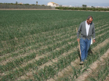 campo-y-caza/20260806/cuatro-cada-diez-beneficiarios-pac-esta-edad-jubilarse_447297