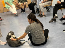espana/madrid/20260806/madrid-estrena-programa-terapeutico-perros-personas-trastorno-mental-grave_447306