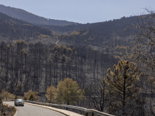 espana/castilla-y-leon/20260806/estabilizado-incendio-avila-mayor-historia-espana-15-dias-50000-hectareas-arrasadas_447340