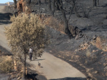espana/20260807/desolador-paisaje-incendio-quemo-1352-hectareas-casas-millan_447688