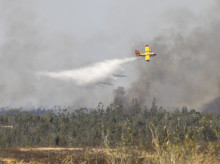 espana/andalucia/20260808/lucha-contra-fuego-recrudece-huelva-24-medios-aereos-trabajan-desde-alturas_447958