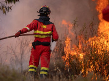 espana/andalucia/20260808/incendio-niebla-supera-4000-hectareas-ante-dificultad-cambios-viento_447959