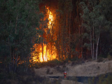 espana/andalucia/20260809/ascienden-340-desalojadas-incendio-huelva-hay-avances-tambien-incertidumbre_448002