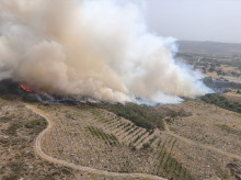 espana/galicia/orense/20260809/incendio-baltar-orense-afectado-95-hectareas_448008