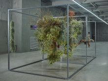 espana/la-voz-de-cordoba/cultura/20260810/sohee-park-confirma-presencia-cordoba-proxima-edicion-flora_448199