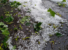 espana/castilla-la-mancha/20260810/alerta-albacete-tormentas-granizo-dos-centimetros-fuertes-rachas-viento_448202