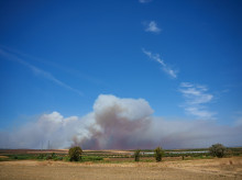 espana/andalucia/20260810/incendio-niebla-huelva-recorre-20000-hectareas-encuentra-fuera-capacidad-extincion_448247