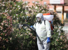 espana/andalucia/20260811/andalucia-eleva-29-casos-virus-nilo-todos-ellos-detectados-provincia-sevilla_448574