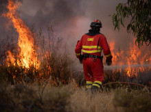 espana/andalucia/20260813/incendio-niebla-arrasa-31000-hectareas-obliga-nuevos-alejamientos-huelva-sevilla_449040