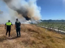 espana/andalucia/20260814/guardia-civil-acompana-vecinos-evacuados-puedan-alimentar-animales-pleno-incendio_449472