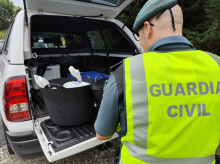 espana/galicia/20260814/encuentran-28-kilos-pulpo-trazabilidad-coche-marina_449484