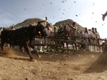 cultura/20260816/cae-hombre-encierro-navarra-trasladado-hospital-politraumatismo_449794