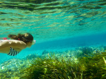 espana/baleares/20260818/autora-turquesa-paradisiaco-baleares-tiene-dos-enemigos-bajo-agua_450368