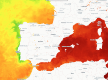 sociedad/sociedad-medio-ambiente/20260818/preocupacion-sobrecalentamiento-mediterraneo-situa-encima-30-grados_450406