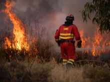 familia/20260820/humo-incendios-forestales-puede-afectar-desarrollo-ninos-segun-estudio-harvard_450495
