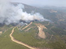 sociedad/sociedad-medio-ambiente/20260819/incendio-hurdes-arrasa-1600-hectareas-pinar_450513
