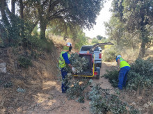 espana/madrid/20260820/madrid-invierte-125000-euros-mejorar-18-kilometros-caminos-rurales-comarca-vegas_450632