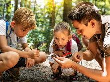 familia/20260825/estrellas-bichos-pajaros-plantas-probamos-cuatro-apps-gratuitas-descubrir-mundo-tus-hijos_450628