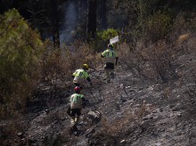 espana/andalucia/20260820/junta-da-controlado-incendio-niebla-huelva-dos-semanas-lucha-contra-fuego_450831