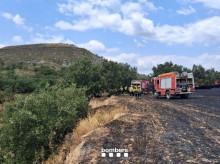 espana/cataluna/tarragona/20260820/tres-comarcas-tarragona-riesgo-alto-incendio_450848