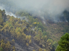 sociedad/sociedad-medio-ambiente/20260821/incendio-pinofranqueado-entra-jornada-clave-positivos-trabajos-nocturnos_451099