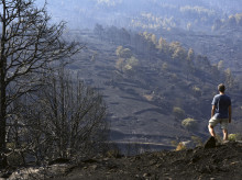 espana/castilla-y-leon/20260823/burgohondo-mes-despues-devastador-incendio-mejor-manera-ayudarnos-seguir-viniendo_451415