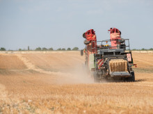 espana/castilla-la-mancha/20260822/asaja-reune-urgencia-erradicar-politicas-conservacionistas-ante-grave-situacion-campo_451273